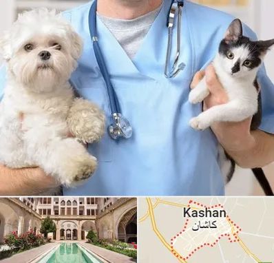 بیمارستان شبانه روزی دامپزشکی در کاشان