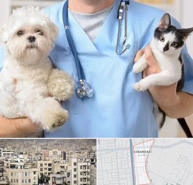 بیمارستان شبانه روزی دامپزشکی در اسکندری