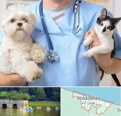 بیمارستان شبانه روزی دامپزشکی در عباس آباد