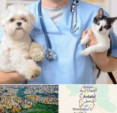 بیمارستان شبانه روزی دامپزشکی در اردبیل