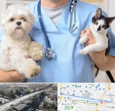 بیمارستان شبانه روزی دامپزشکی در فرجام