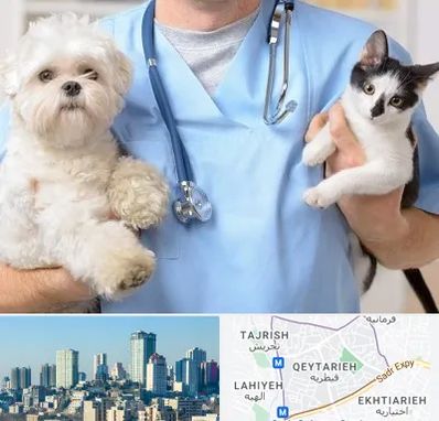 بیمارستان شبانه روزی دامپزشکی در قیطریه 
