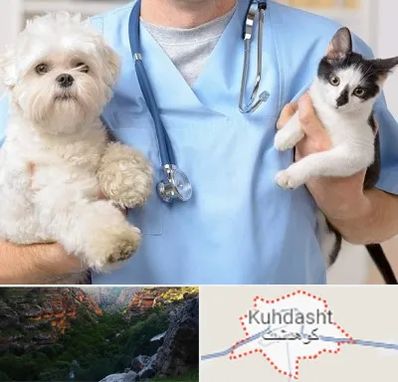 بیمارستان شبانه روزی دامپزشکی در کوهدشت