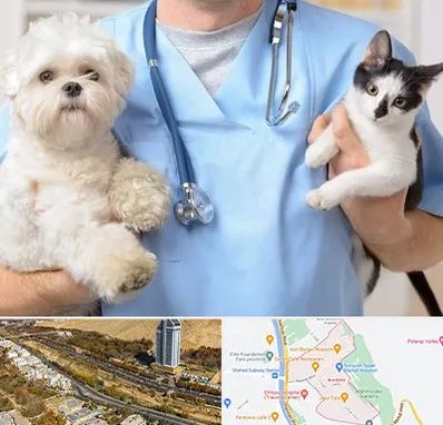 بیمارستان شبانه روزی دامپزشکی در خیابان نیایش شیراز