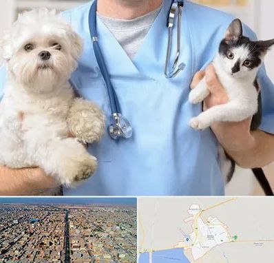 بیمارستان شبانه روزی دامپزشکی در بندر ماهشهر