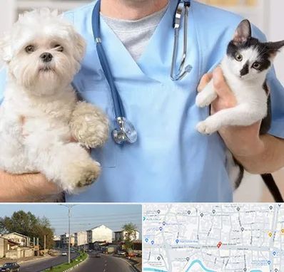 بیمارستان شبانه روزی دامپزشکی در ضیابری رشت