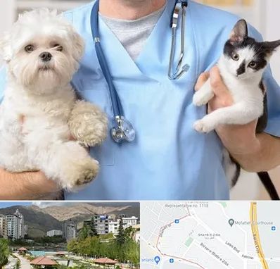 بیمارستان شبانه روزی دامپزشکی در شهر زیبا 