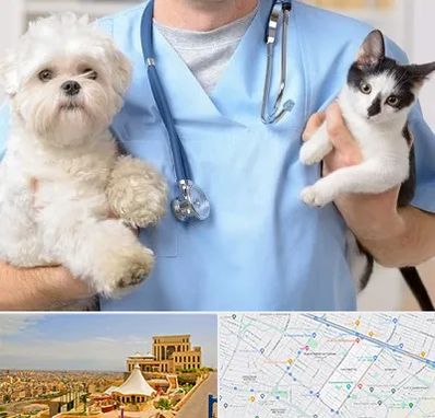 بیمارستان شبانه روزی دامپزشکی در هاشمیه مشهد