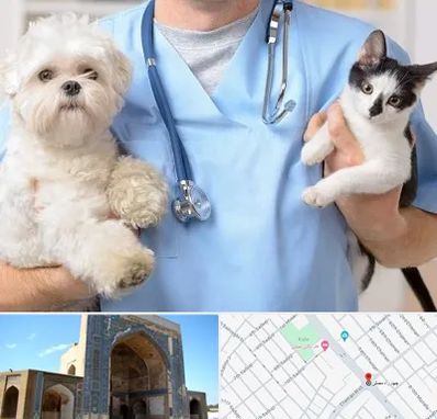 بیمارستان شبانه روزی دامپزشکی در مصلی مشهد