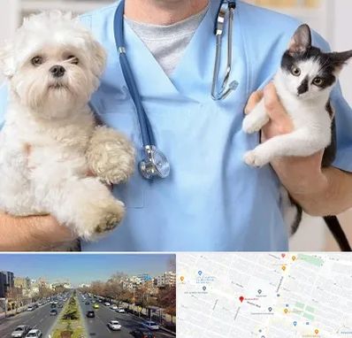 بیمارستان شبانه روزی دامپزشکی در بلوار معلم مشهد