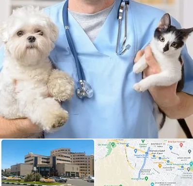 بیمارستان شبانه روزی دامپزشکی در صیاد شیرازی مشهد