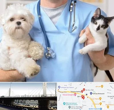 بیمارستان شبانه روزی دامپزشکی در پارک وی 