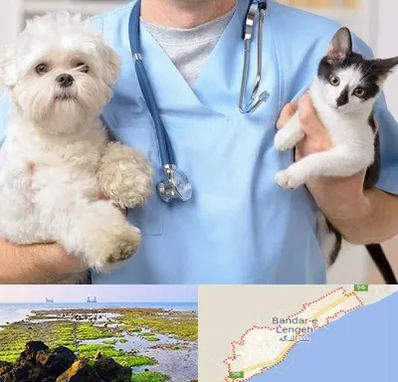 بیمارستان شبانه روزی دامپزشکی در بندرلنگه