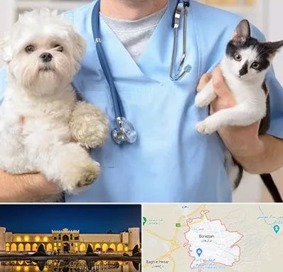 بیمارستان شبانه روزی دامپزشکی در برازجان