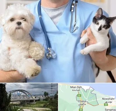 بیمارستان شبانه روزی دامپزشکی در چالوس