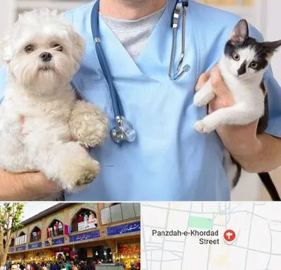 بیمارستان شبانه روزی دامپزشکی در 15 خرداد