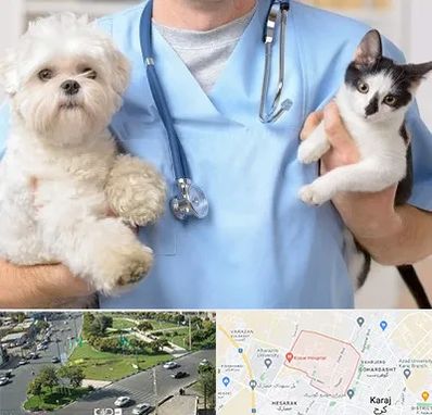 بیمارستان شبانه روزی دامپزشکی در شاهین ویلا کرج