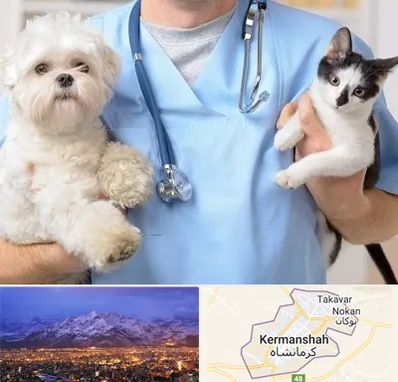 بیمارستان شبانه روزی دامپزشکی در کرمانشاه