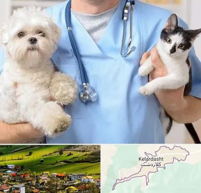 بیمارستان شبانه روزی دامپزشکی در کلاردشت