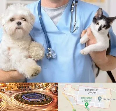 بیمارستان شبانه روزی دامپزشکی در بهارستان
