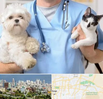 بیمارستان شبانه روزی دامپزشکی در شرق تهران 