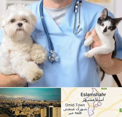 بیمارستان شبانه روزی دامپزشکی در اسلامشهر
