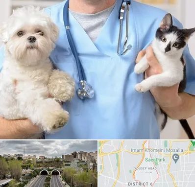 بیمارستان شبانه روزی دامپزشکی در یوسف آباد 
