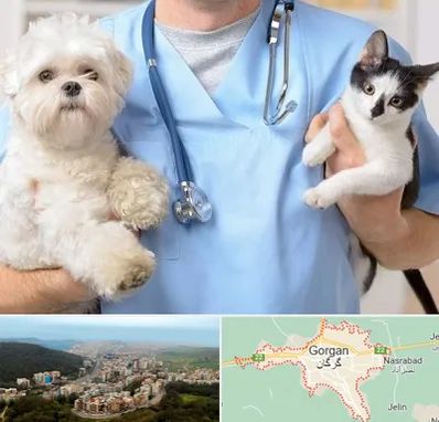 بیمارستان شبانه روزی دامپزشکی در گرگان