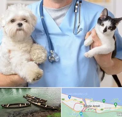 بیمارستان شبانه روزی دامپزشکی در بندر انزلی