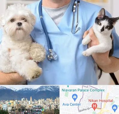 بیمارستان شبانه روزی دامپزشکی در آجودانیه 