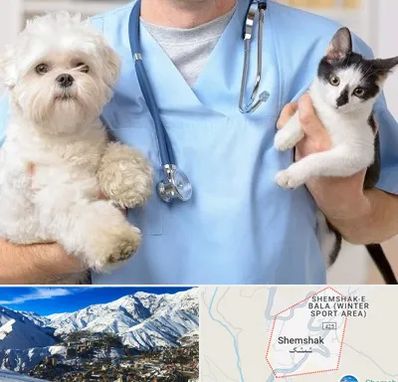 بیمارستان شبانه روزی دامپزشکی در شمشک