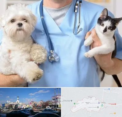 بیمارستان شبانه روزی دامپزشکی در ماهدشت کرج