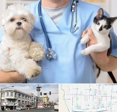 بیمارستان شبانه روزی دامپزشکی در 17شهریور