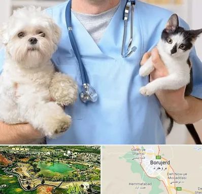بیمارستان شبانه روزی دامپزشکی در بروجرد