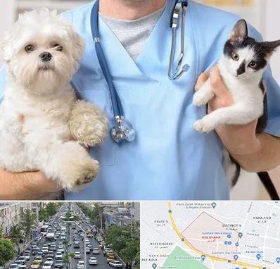 بیمارستان شبانه روزی دامپزشکی در گلشهر کرج