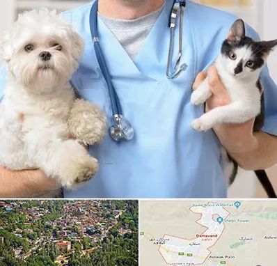 بیمارستان شبانه روزی دامپزشکی در دماوند