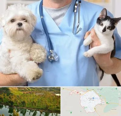 بیمارستان شبانه روزی دامپزشکی در بهبهان