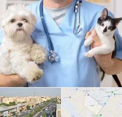 بیمارستان شبانه روزی دامپزشکی در کیانمهر کرج