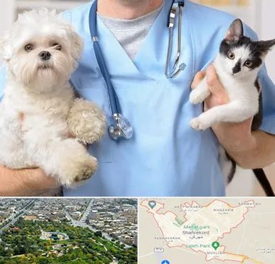 بیمارستان شبانه روزی دامپزشکی در شهرکرد