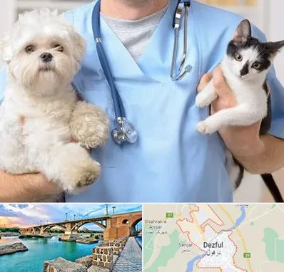 بیمارستان شبانه روزی دامپزشکی در دزفول