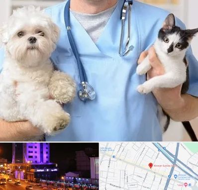 بیمارستان شبانه روزی دامپزشکی در آبرسان تبریز