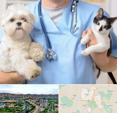 بیمارستان شبانه روزی دامپزشکی در شهریار