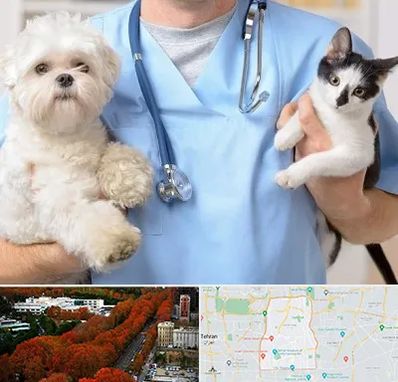 بیمارستان شبانه روزی دامپزشکی در منطقه 6 تهران 