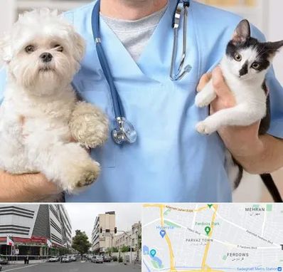 بیمارستان شبانه روزی دامپزشکی در بلوار فردوس 