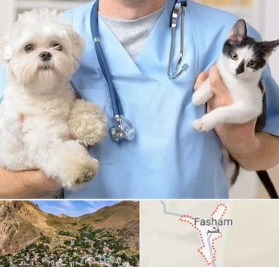 بیمارستان شبانه روزی دامپزشکی در فشم