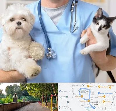 بیمارستان شبانه روزی دامپزشکی در بلوار گیلان رشت