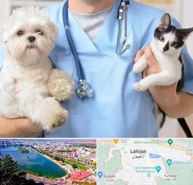 بیمارستان شبانه روزی دامپزشکی در لاهیجان