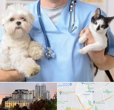 بیمارستان شبانه روزی دامپزشکی در فرشته 