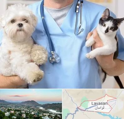 بیمارستان شبانه روزی دامپزشکی در لواسان