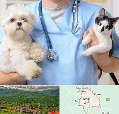 بیمارستان شبانه روزی دامپزشکی در آمل